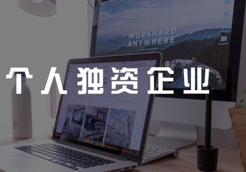 根據《財政部國家稅務總局關于印發（關于個人獨資企業和合伙企業投資者征收個人所得稅的規定）的通知》（財稅[2000]91號）針對入駐的個人獨資企業，按照收入10% 的利潤率實行優惠稅率，通過將個人所得稅“工資薪金